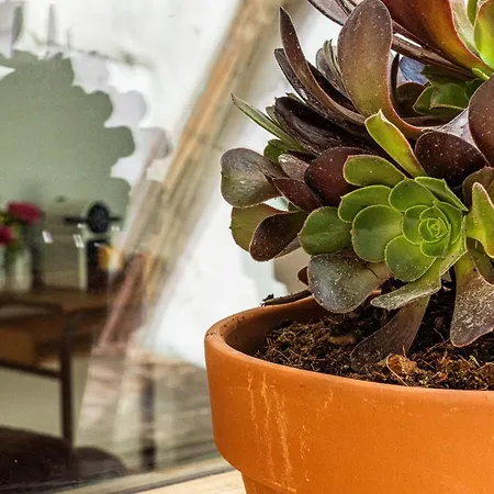 Maison Arthur Oda ve Kahvaltı Aigues-Mortes