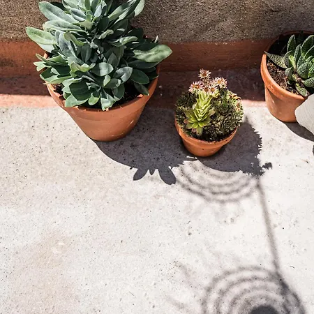 Maison Arthur Oda ve Kahvaltı Aigues-Mortes