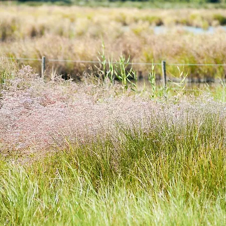 Maison Arthur Frühstückspension Aigues-Mortes